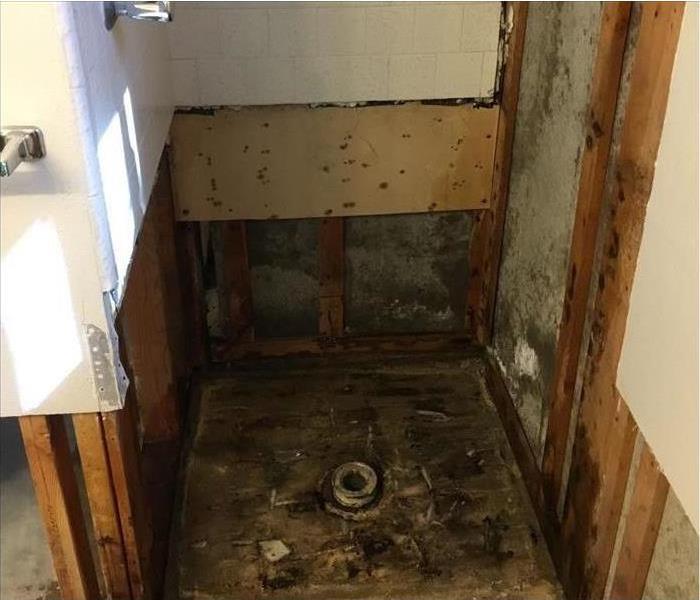 shower with water and mold damage with lower walls removed being prepped for full rebuild